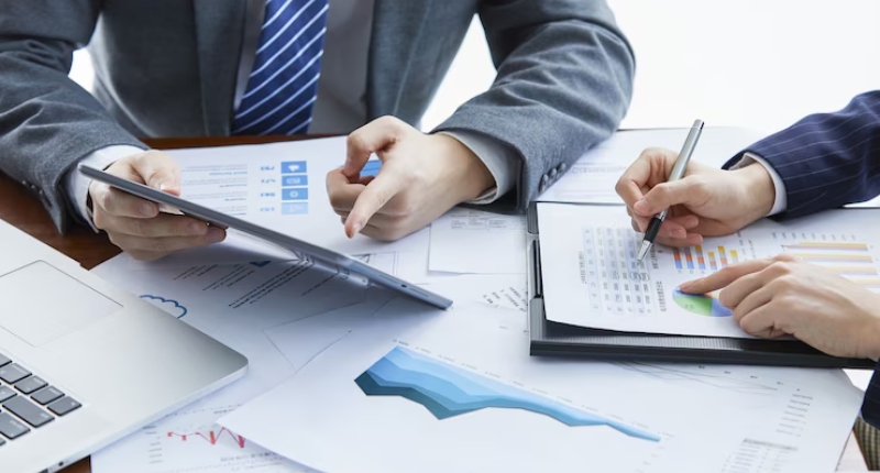 srl senza dipendenti