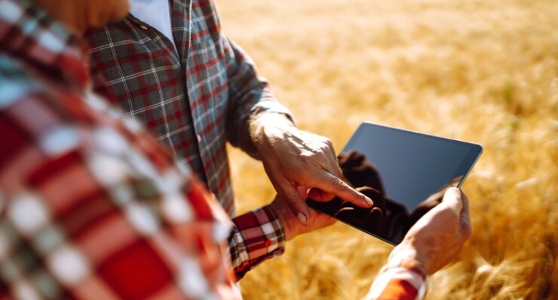 rivalutazione terreni 2025