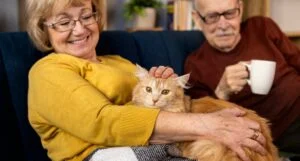 bonus cani gatti 2025