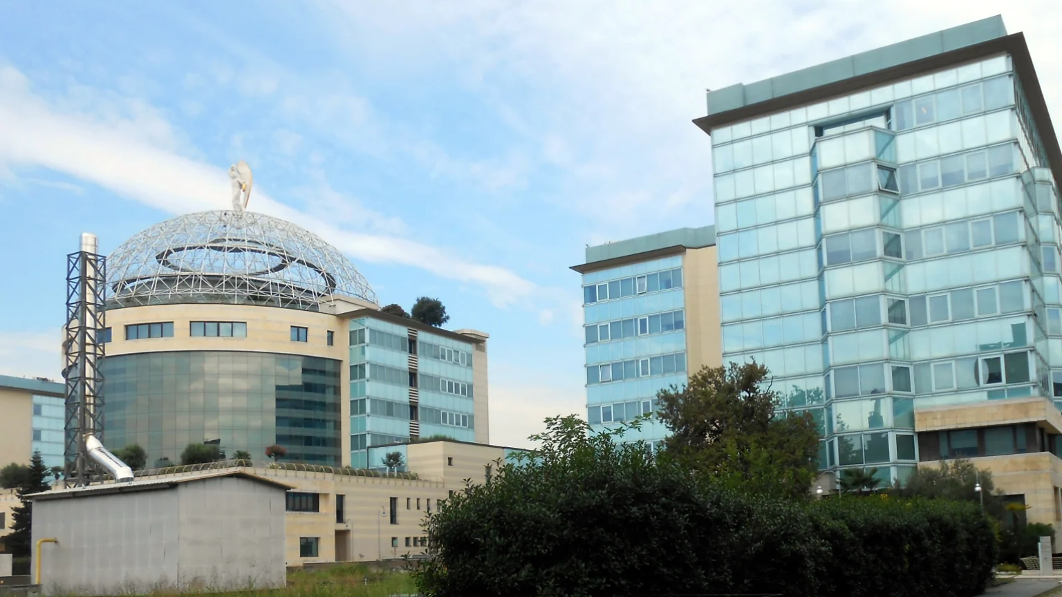 ospedale san raffaele