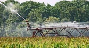 bonus giovani imprenditori agricoli