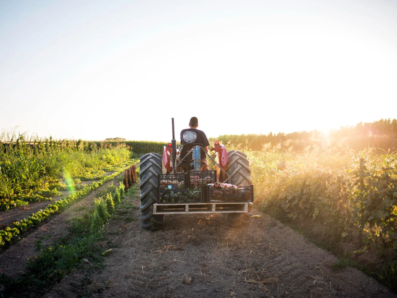 Bonus imprese agricole 2026