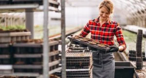 migliori imprese calabria